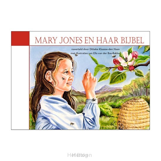 Mary Jones en haar Bijbel - klein