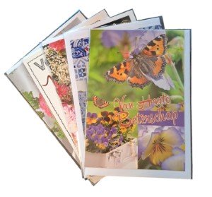 Dubbele kaarten Van Harte Beterschap