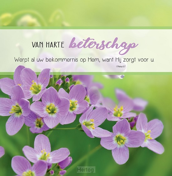 Van harte beterschap - wenskaart Bijbeltekst SV