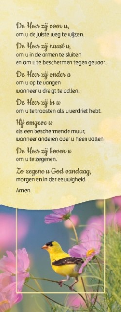 Zegen van St. Patrick - boekenlegger