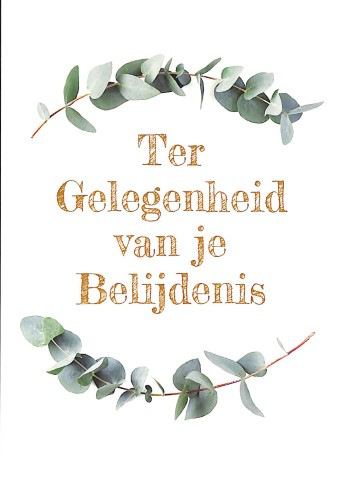 Ter Gelegenheid van je Belijdenis - wenskaart 