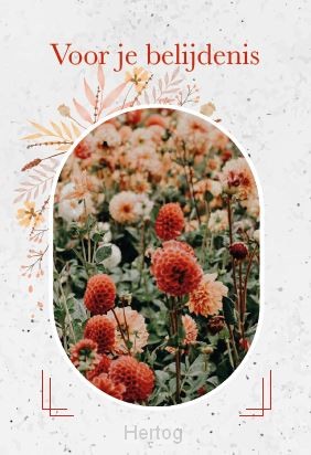 Voor je belijdenis - minikaart