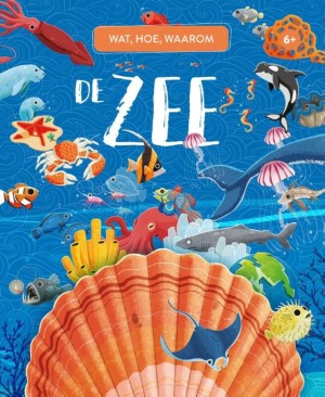 De zee - wat, hoe, waarom