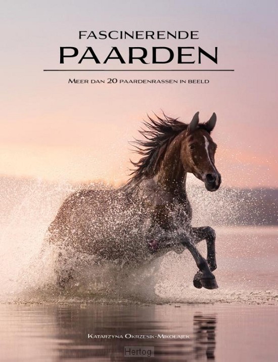 Fascinerende paarden - meer dan 20 paardenrassen in beeld